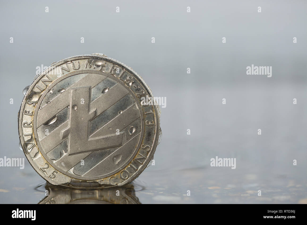 Litecoin LTC Cryptocurrency moneta fisica posta nella palude di acqua. Oggetto incorniciato sul lato sinistro dell'immagine. Foto Stock