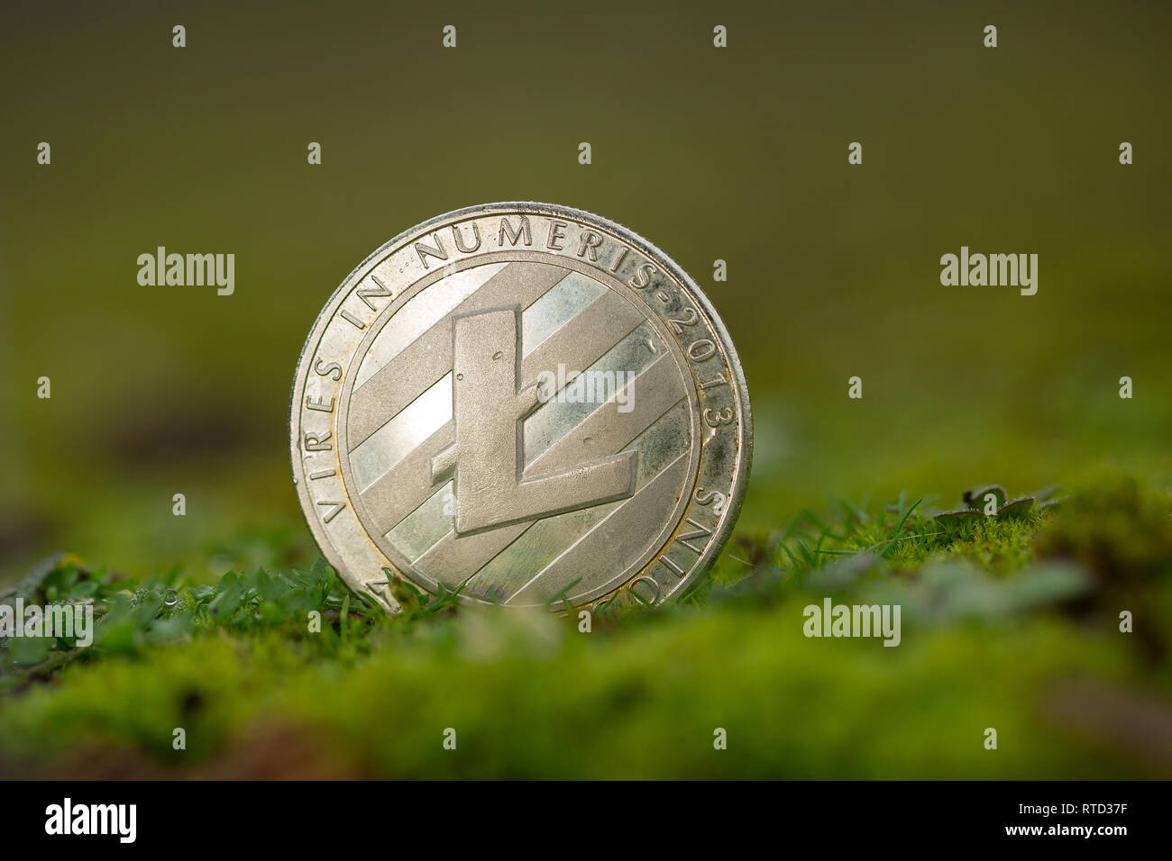 Litecoin LTC criptovaluta moneta fisica posta sull'erba e muschio nella natura. Foto Stock