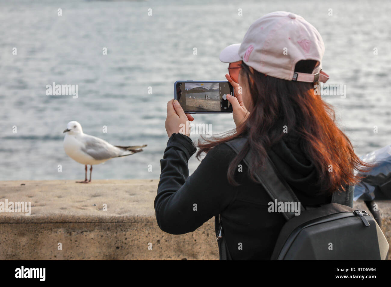 Turisti asiatici di fotografare e filmare un gul utilizzando uno smartphone su una parete da dal Lago Wakatipu a Queenstown, Nuova Zelanda Isola del Sud Foto Stock
