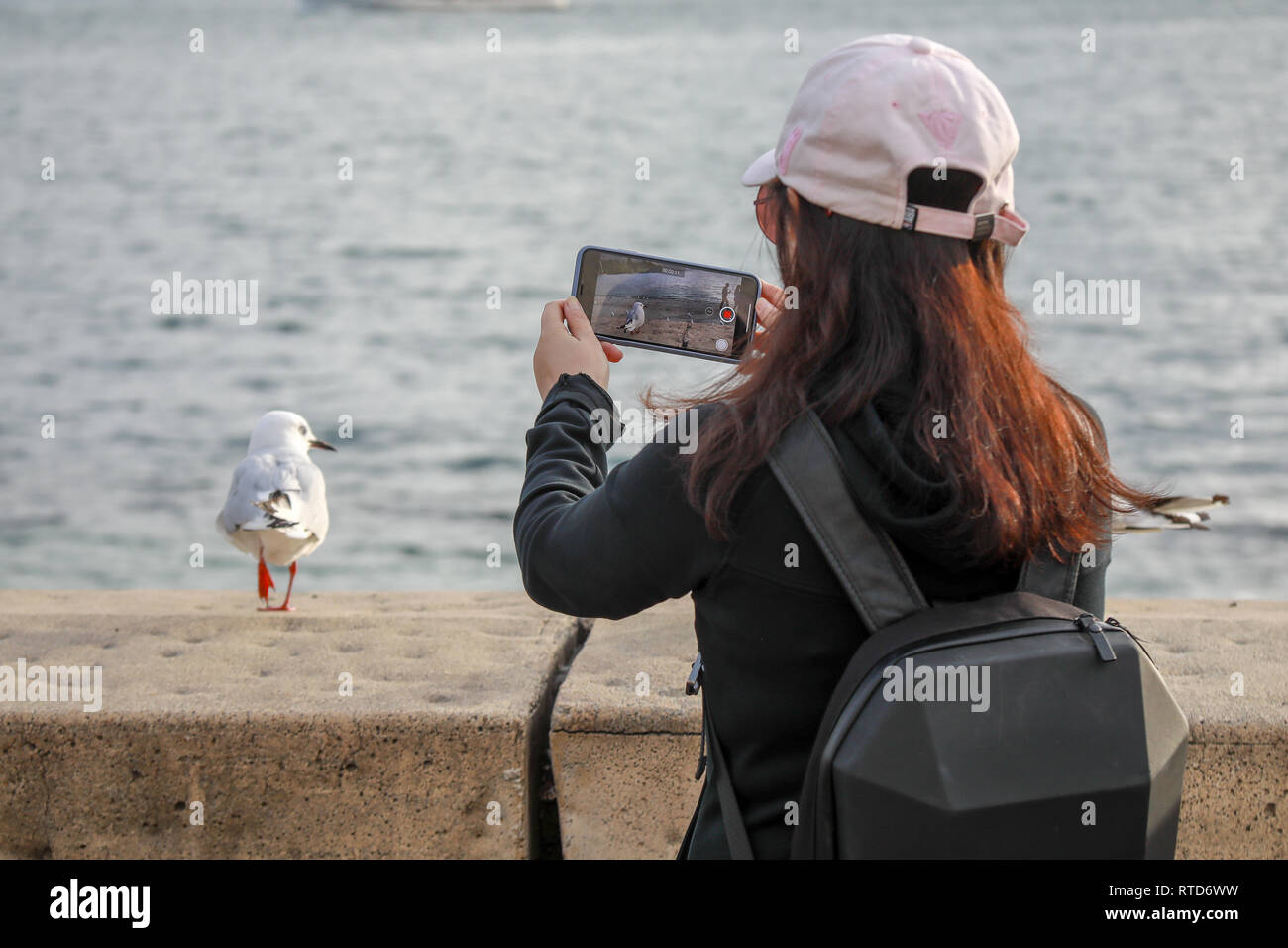 Turisti asiatici di fotografare e filmare un gul utilizzando uno smartphone su una parete da dal Lago Wakatipu a Queenstown, Nuova Zelanda Isola del Sud Foto Stock