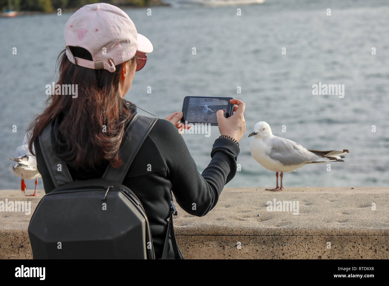 Turisti asiatici di fotografare e filmare un gul utilizzando uno smartphone su una parete da dal Lago Wakatipu a Queenstown, Nuova Zelanda Isola del Sud Foto Stock