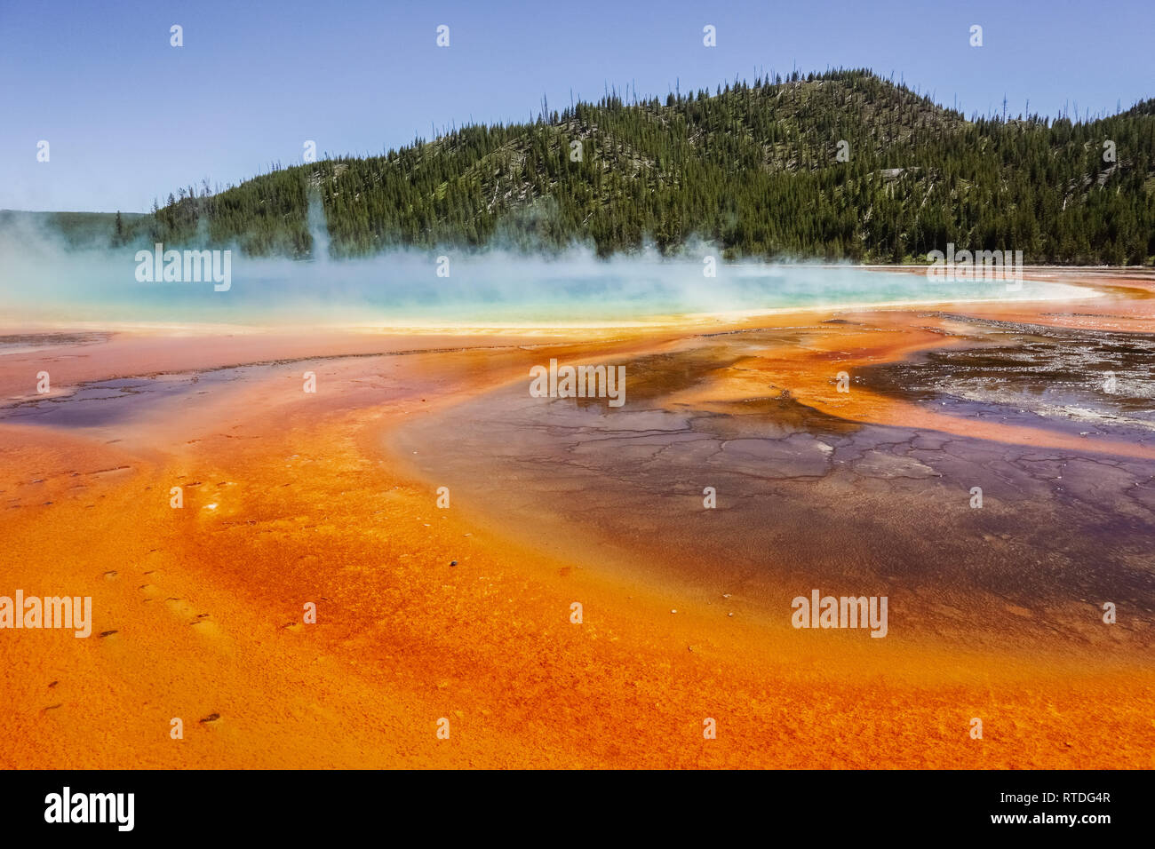Grand Prismatic Spring, il Parco Nazionale di Yellowstone Foto Stock