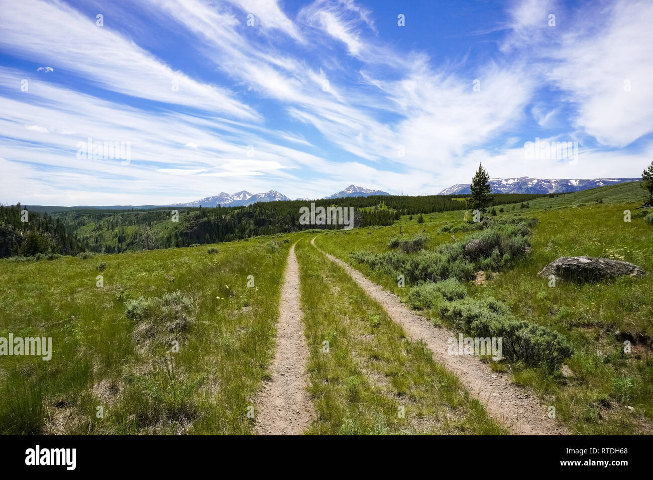 Mountain Bike Trail, Yellowstone Foto Stock