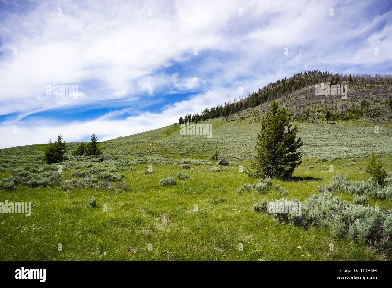 Bunsen sentiero di picco del paesaggio, Yellowstone Foto Stock