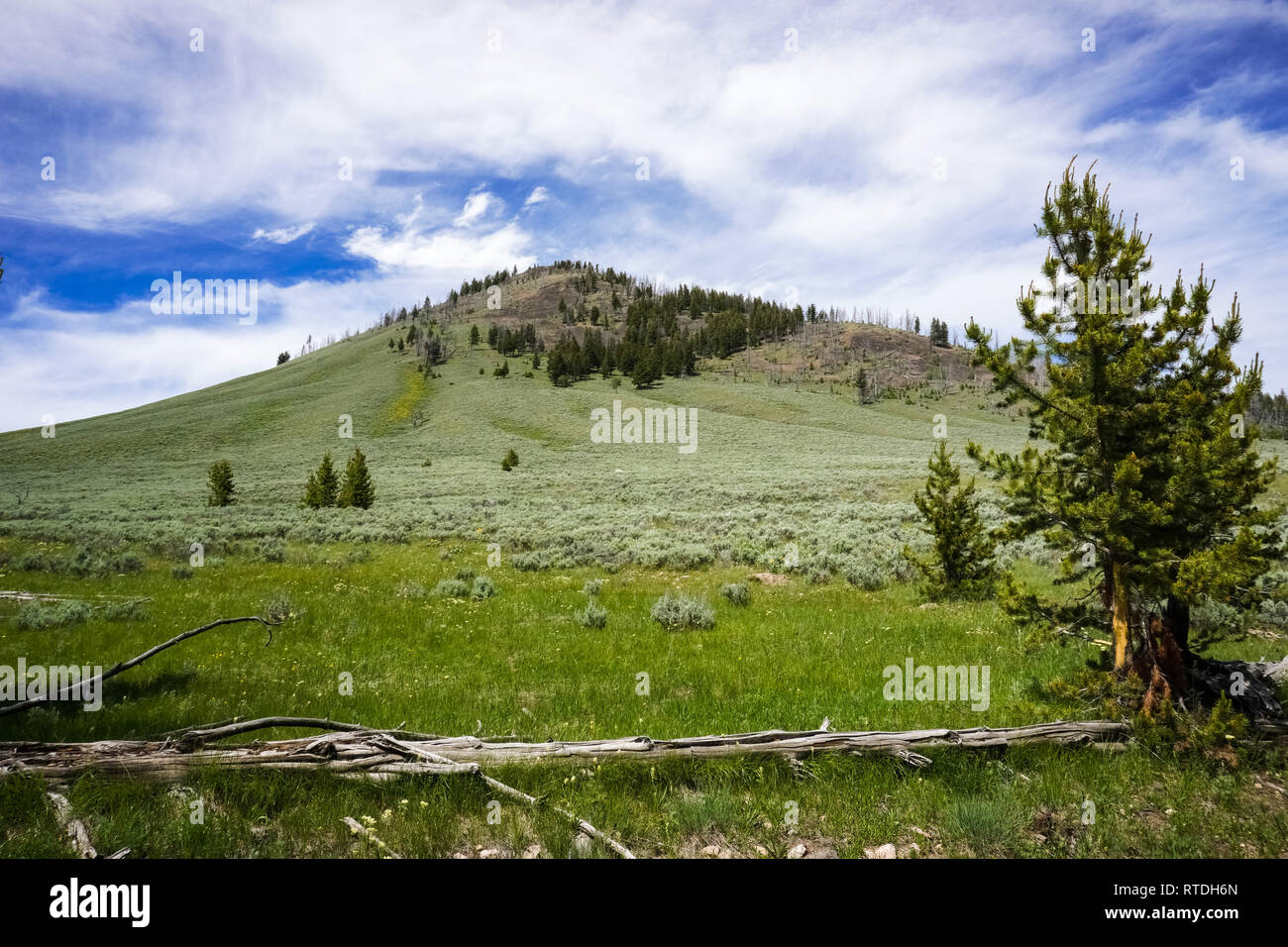 Bunsen sentiero di picco del paesaggio, Yellowstone Foto Stock