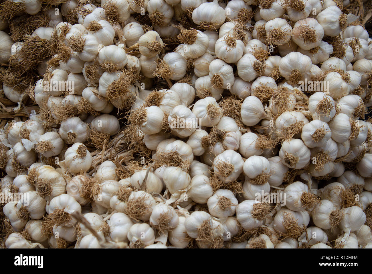 Fagottini di aglio essiccato immagini e fotografie stock ad alta  risoluzione - Alamy