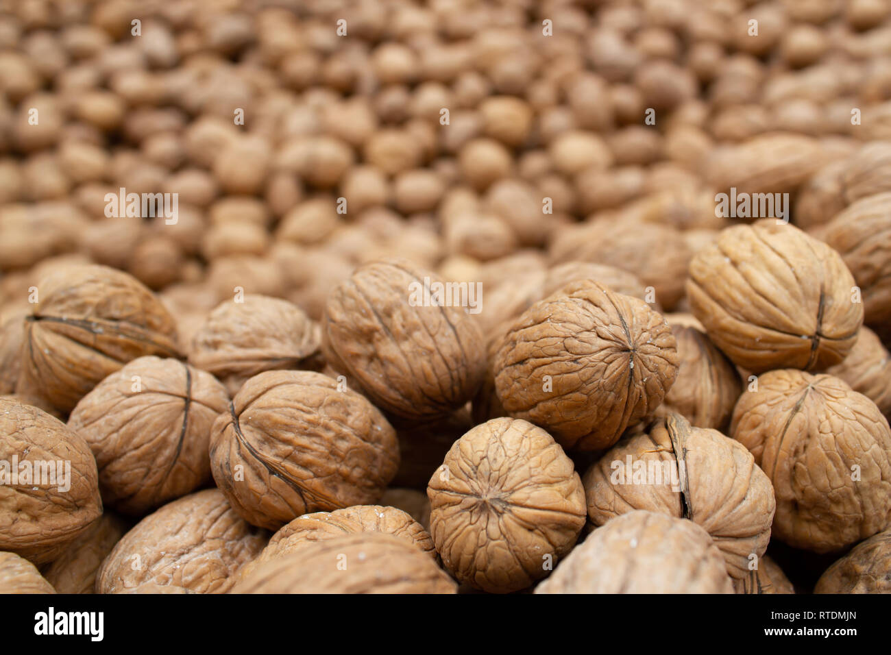 Essiccato di gherigli di noci Foto Stock