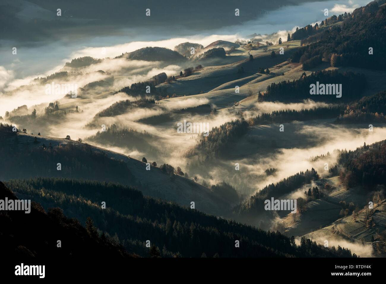 Vista da Belchen in direzione sud nella valle del Wiesental, Atmosfera mattutina con la nebbia, Foresta Nera, Baden-Württemberg, Germania Foto Stock