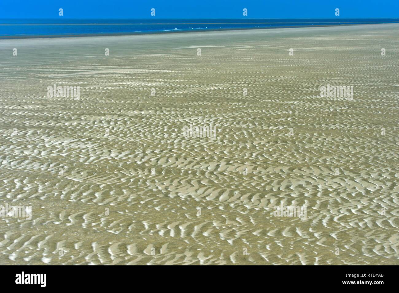 Ripples formata da vento e correnti di marea nella sabbia nel velme, Schleswig-Holstein il Wadden Sea National Park Foto Stock