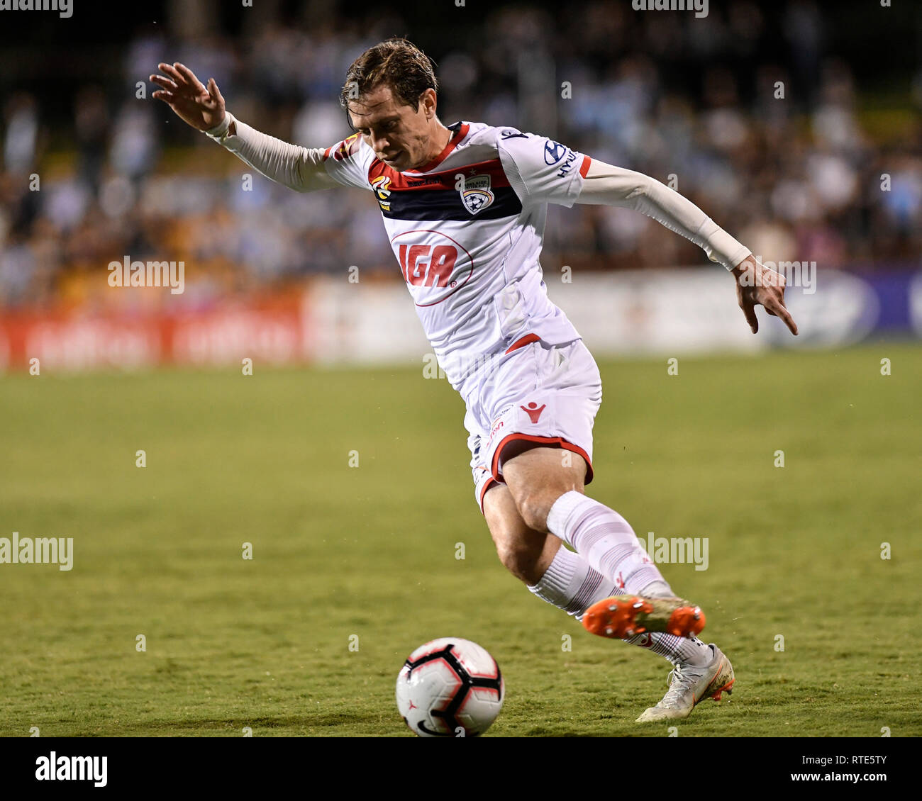 Leichhardt ovale, Leichhardt, Australia. 1 Mar, 2019. Un campionato di calcio FC Sydney versus Adelaide Regno; Craig Goodwin di Adelaide Regno Credito: Azione Sport Plus/Alamy Live News Foto Stock