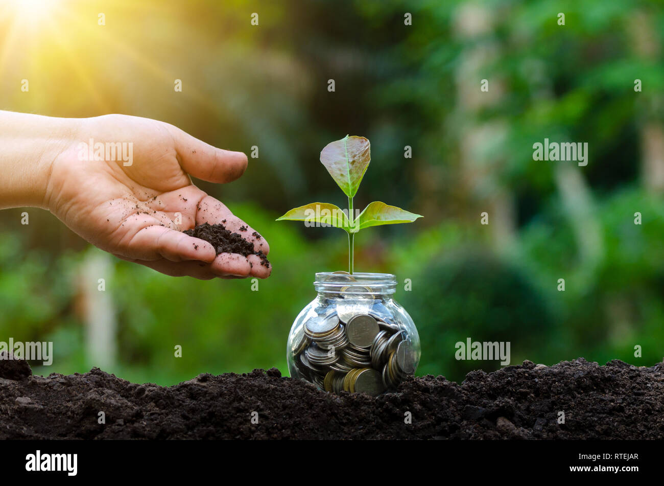 Mettere mano denaro banconote in bottiglia tree immagine della banconota con coltivazione di piante in alto per il business green fondo naturale di risparmiare denaro e investimenti fi Foto Stock