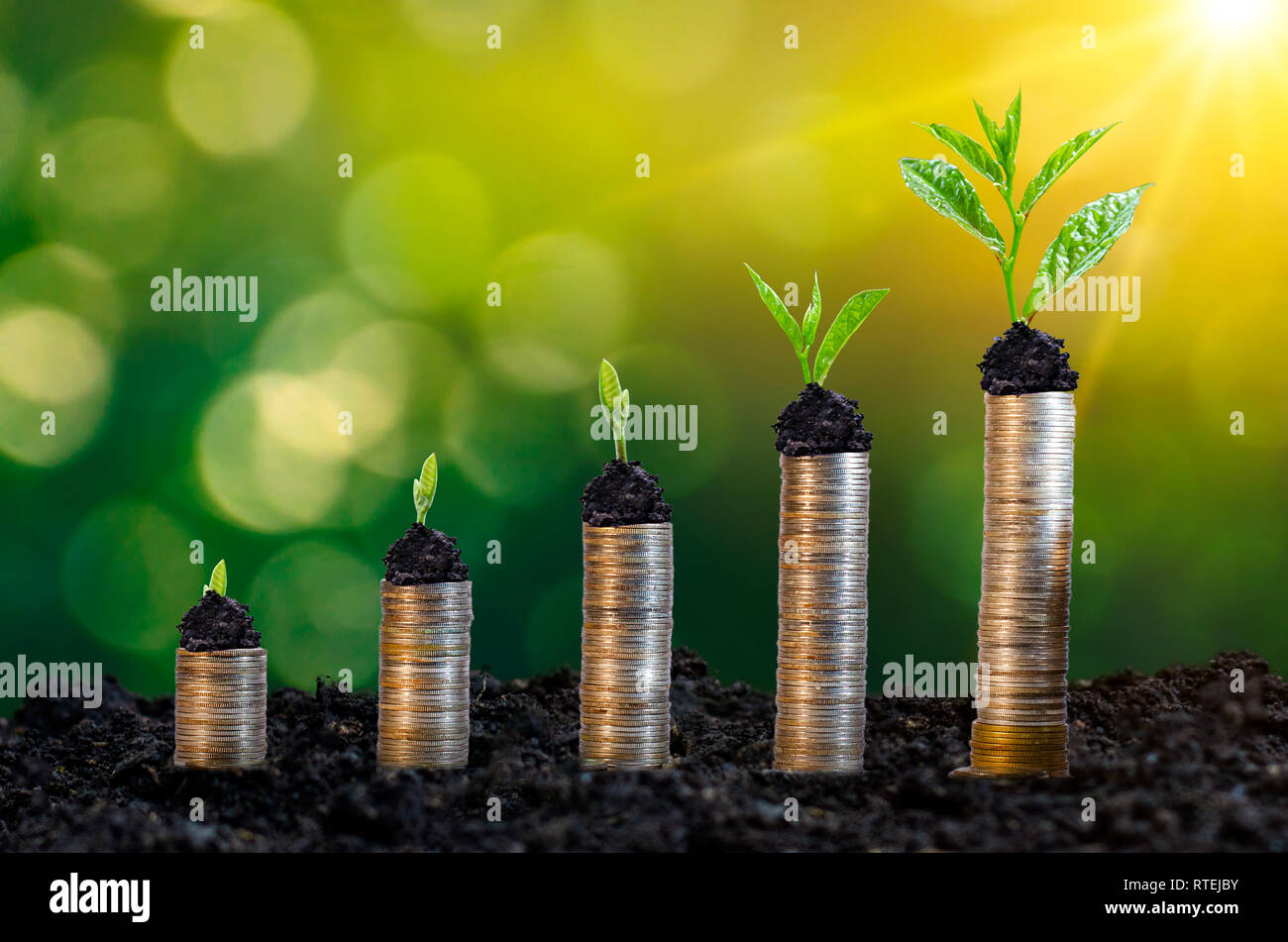 La crescita di denaro per un risparmio di denaro. Albero superiore monete al concetto illustrato ai cambiamenti di un business in espansione Foto Stock