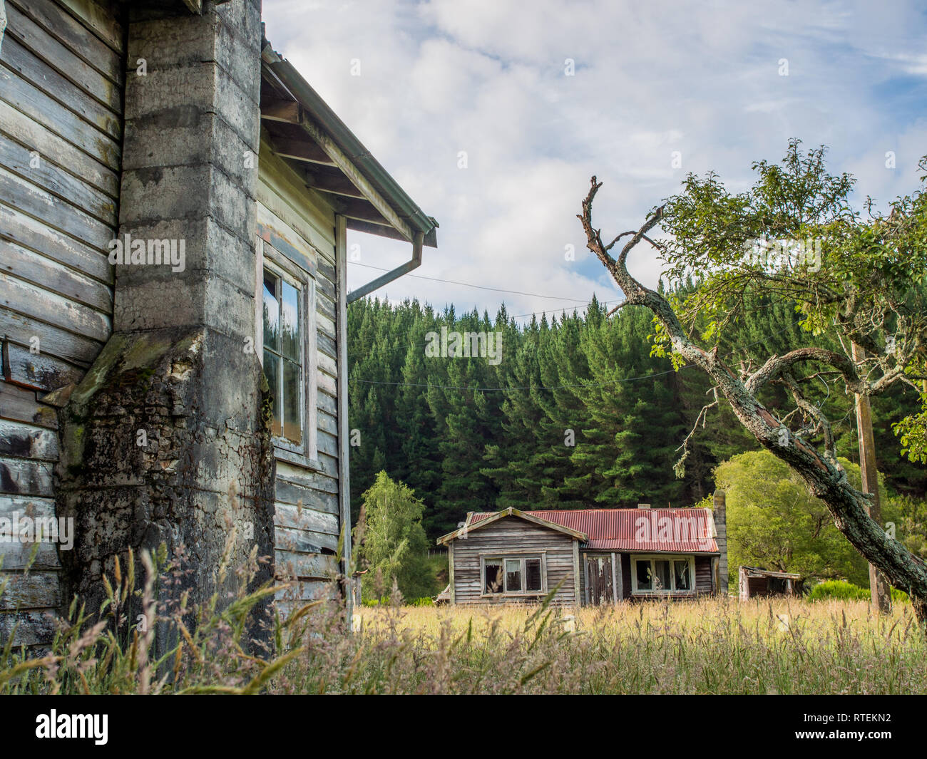 Case abbandonate, Endeans Mill, Waimiha, Ongarue, re paese, Nuova Zelanda Foto Stock