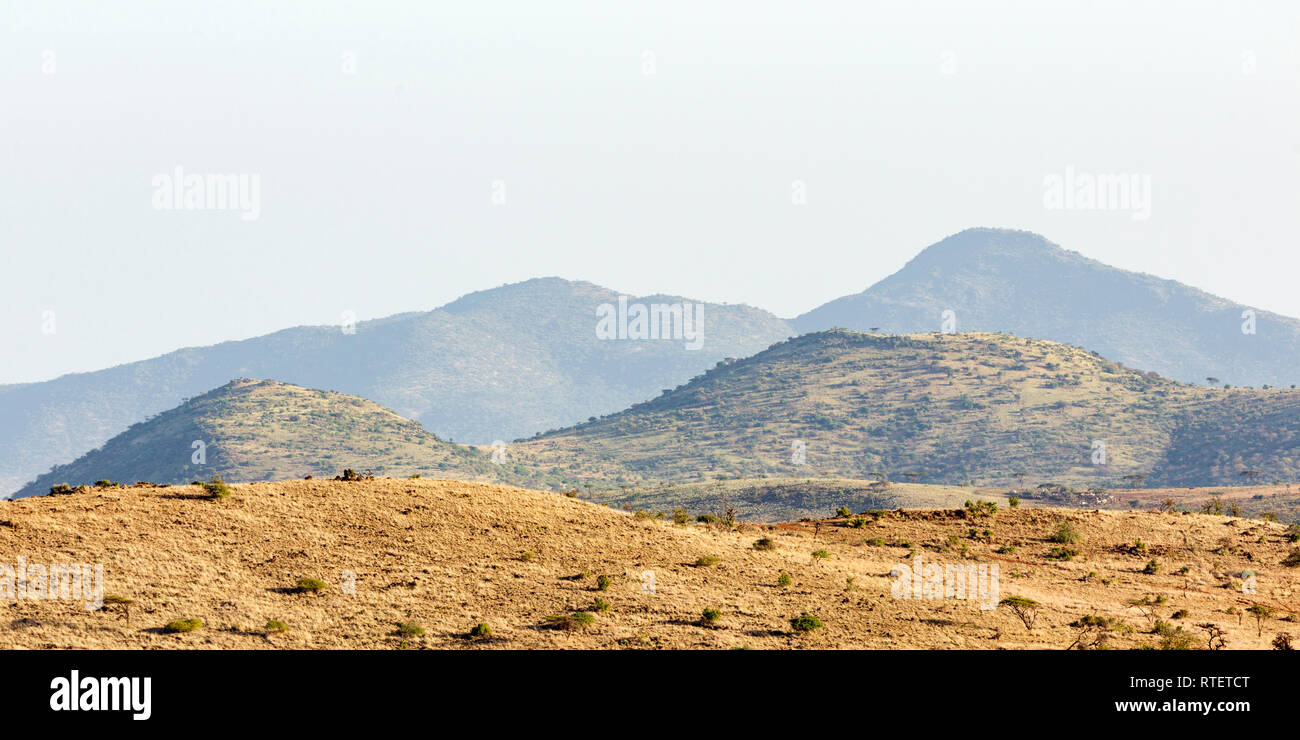 La mattina presto vista su tutta la pianura verso le colline, formato orizzontale, Lewa deserto Lewa Conservancy, Kenya, Africa Foto Stock