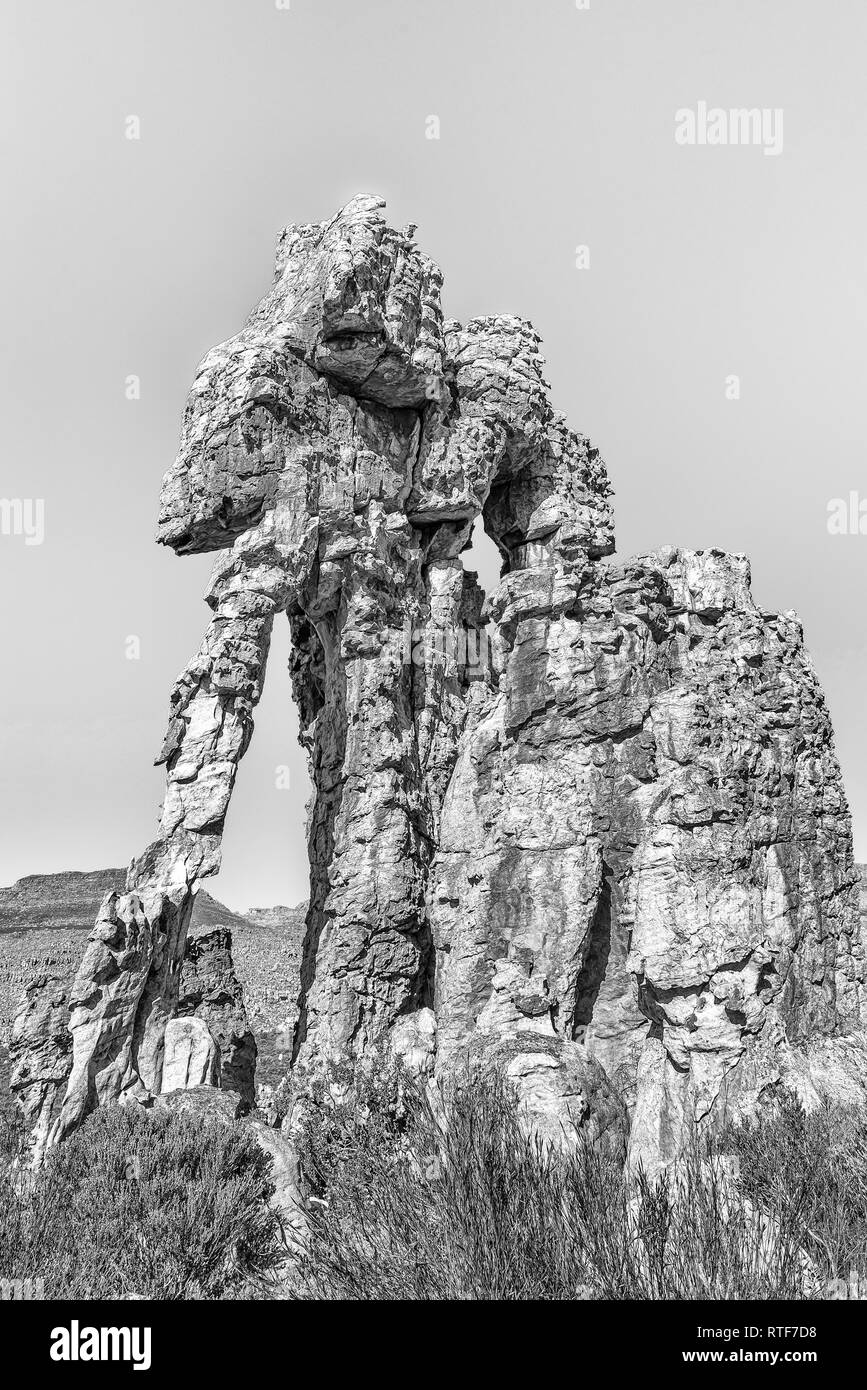 Le formazioni rocciose sulle partite moglie sentiero escursionistico a Dwarsrivier nelle montagne Cederberg. Monocromatico Foto Stock