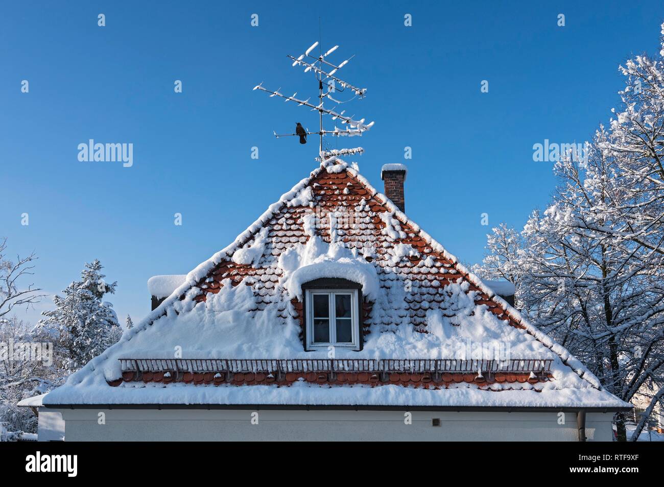 Sul tetto della casa con la neve in inverno, Monaco di Baviera, Baviera, Baviera, Germania Foto Stock