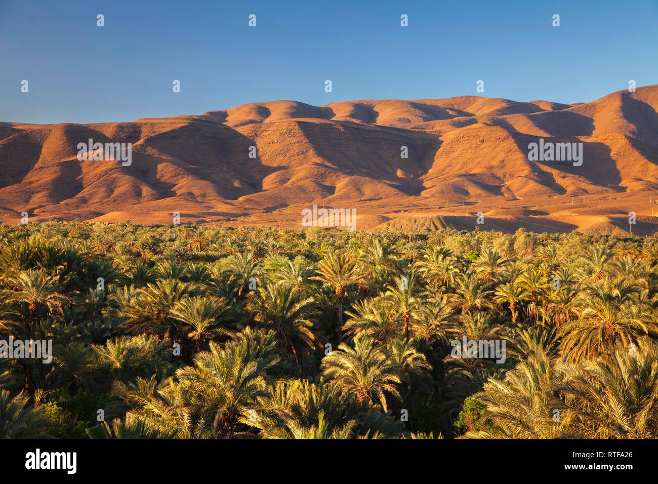 Valle di Draa, Atlante, Sud Marocco, Marocco Foto Stock