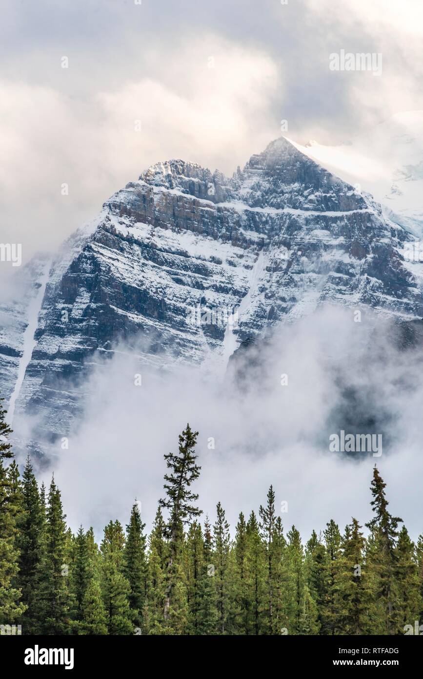 Massiccio montuoso con neve, avvolto nella nube, gamma di prua, il Parco Nazionale di Banff, Canadian Rocky Mountains, Alberta, Canada Foto Stock