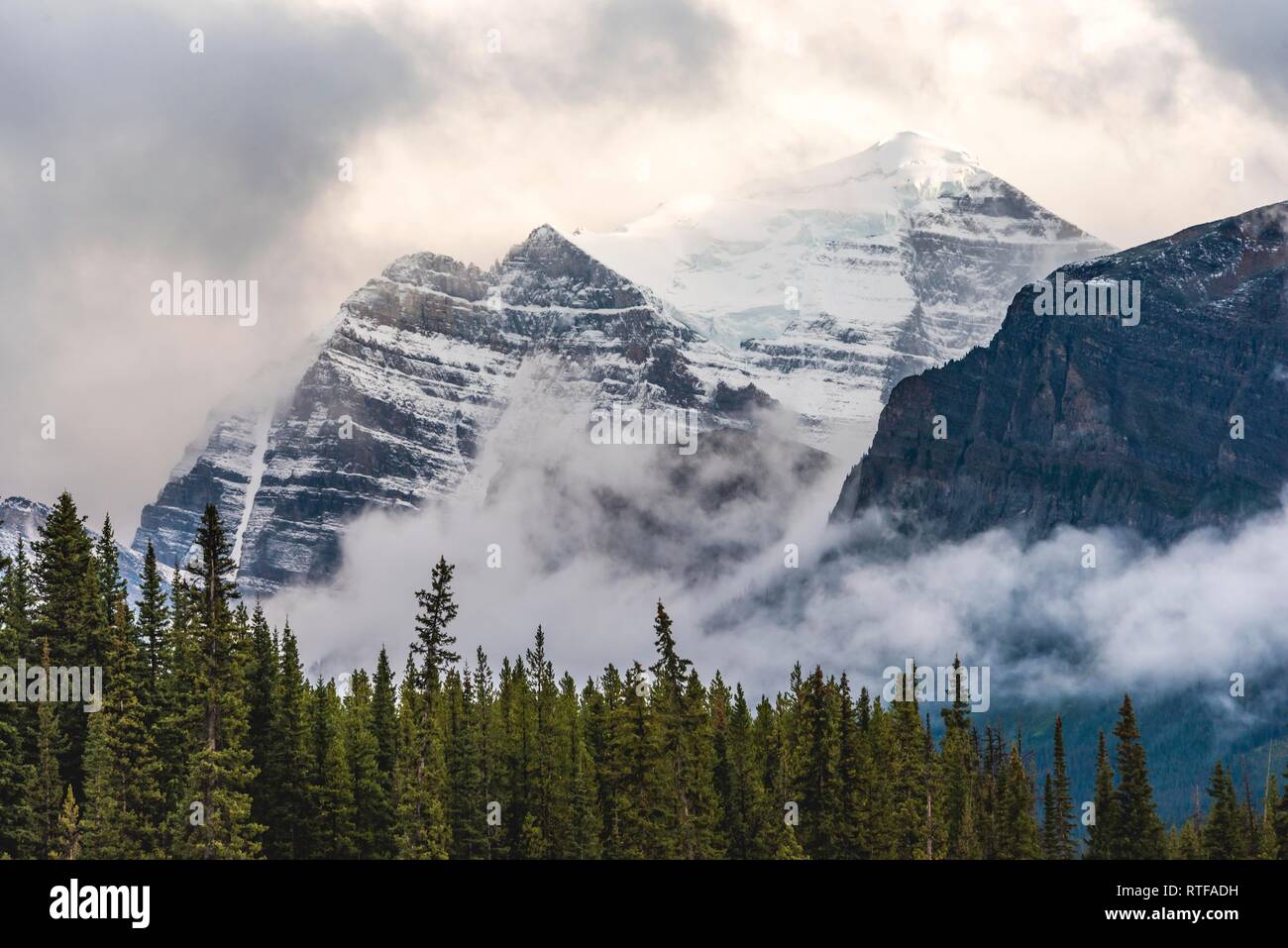 Massiccio montuoso con neve, avvolto nella nube, gamma di prua, il Parco Nazionale di Banff, Canadian Rocky Mountains, Alberta, Canada Foto Stock