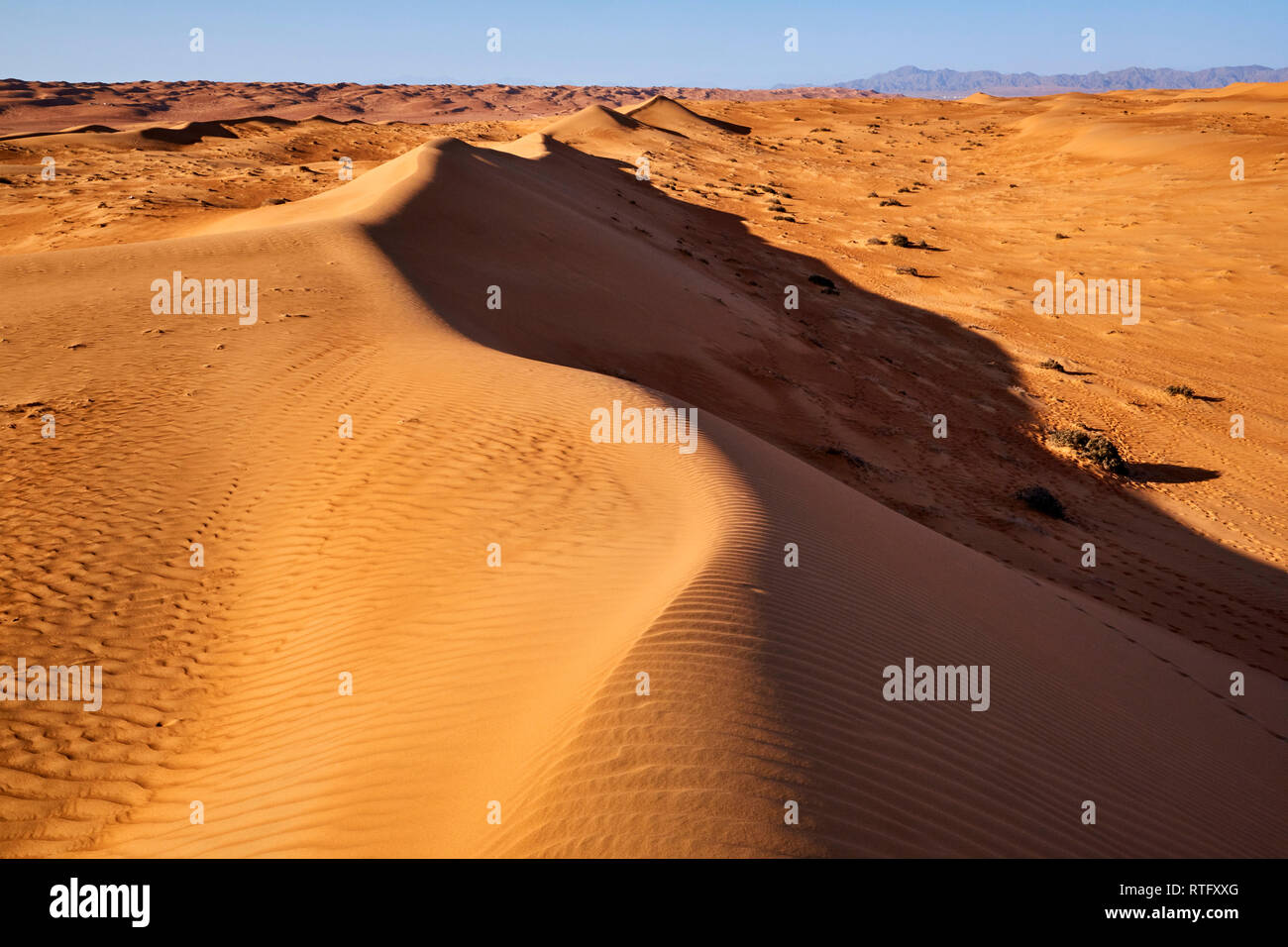 Il sultanato di Oman, Al Sharqiya Regione, Wahiba Sands desert Foto Stock