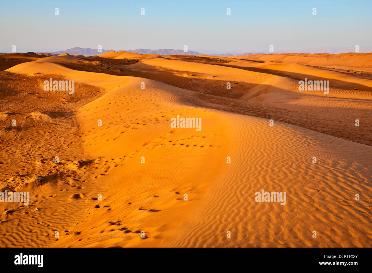 Il sultanato di Oman, Al Sharqiya Regione, Wahiba Sands desert Foto Stock