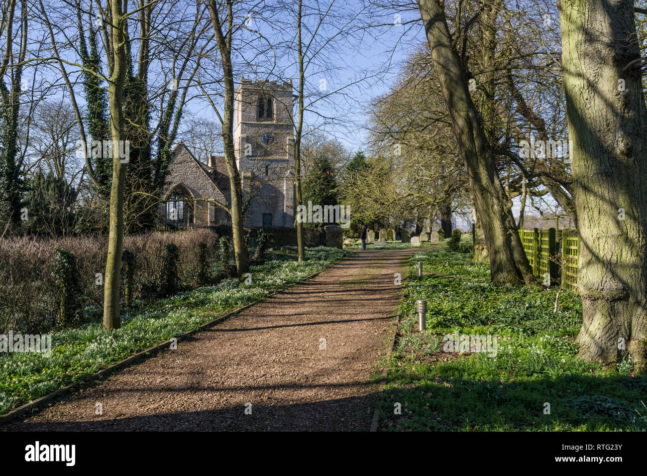 Viale alberato percorso verso la chiesa di San Giovanni Battista nel villaggio di Chelveston, Northamptonshire, Regno Unito; Foto Stock
