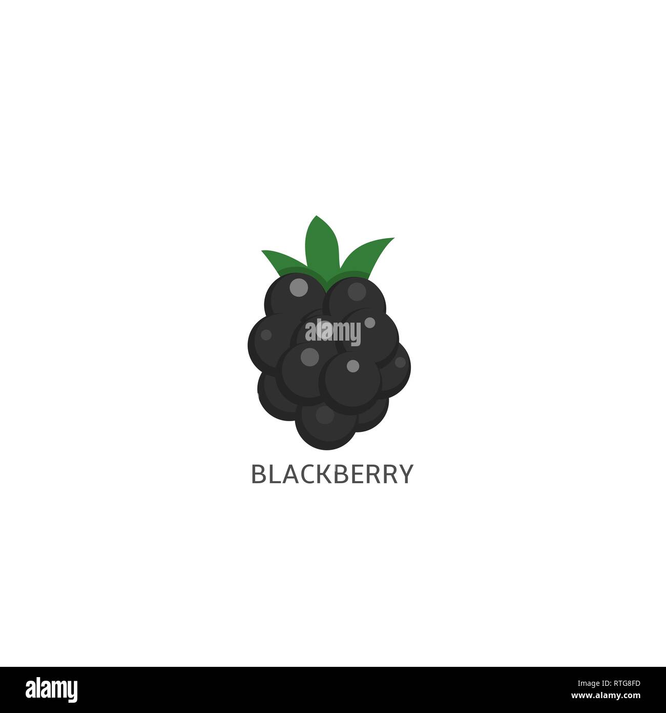 Blackberry. Bacca Nera con foglia verde su sfondo bianco, illustrazione vettoriale Illustrazione Vettoriale