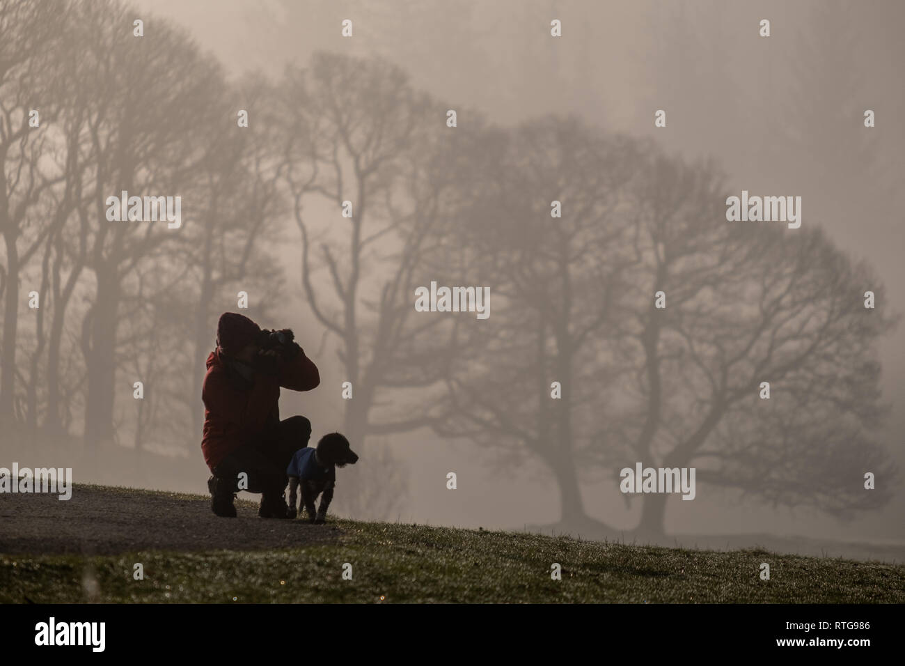 Un fotografo con un cane cattura un colpo in una nebbiosa mattina vicino a Elterwater, Lake District, REGNO UNITO Foto Stock