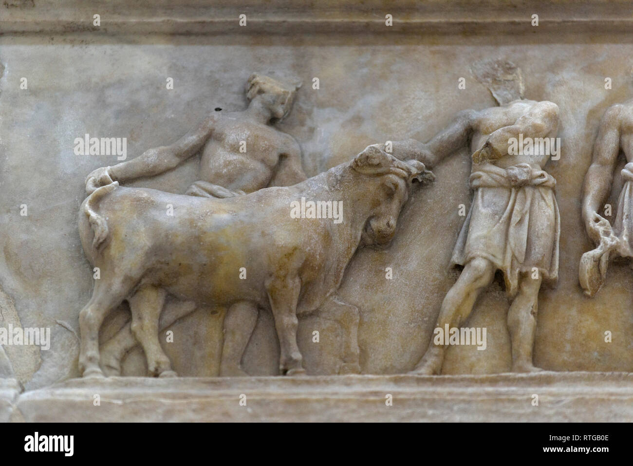 Roma. L'Italia. L'Ara Pacis Augustae, 13-9 BCE, Museo dell'Ara Pacis. Dettaglio della decorazione interna sollievo che mostra una processione dei sacerdoti che portano gli animali Foto Stock