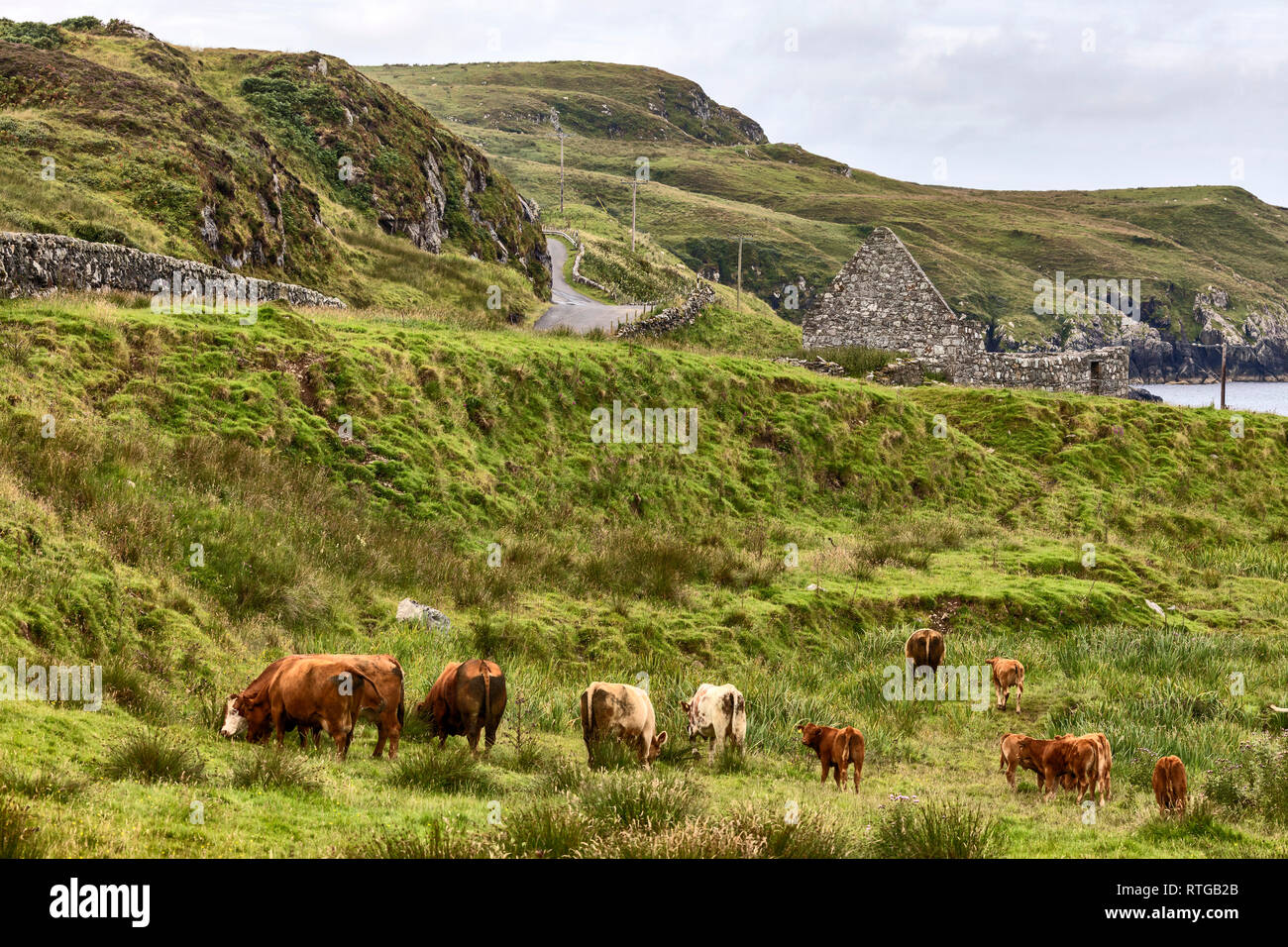 Islay, Ebridi Interne, Argyll, Scotland, Regno Unito Foto Stock