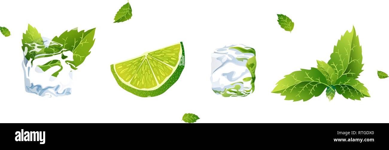 Set di illustrazione vettoriale di calce, cubetti di ghiaccio e menta Illustrazione Vettoriale
