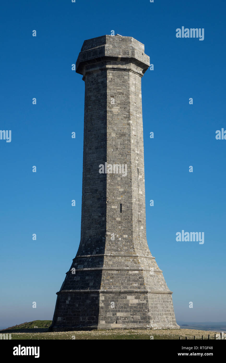 Inghilterra, Dorset, black Down, Hardy Monument Foto Stock