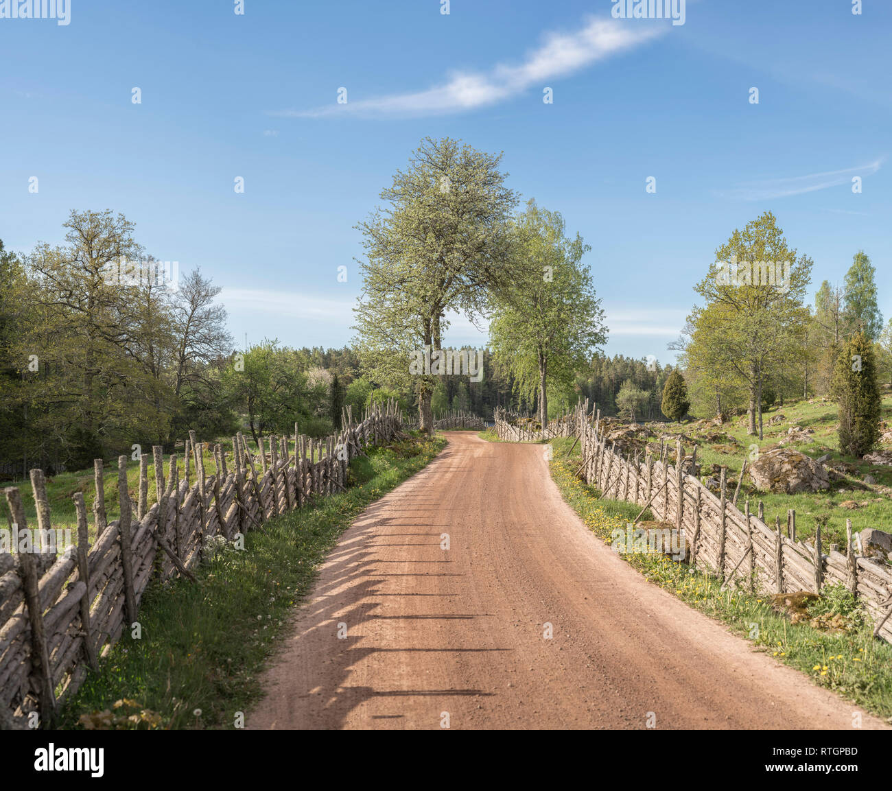 Il pittoresco paese strada che conduce a un lago attraverso un bellissimo paesaggio rurale con roundpole recinzioni, Smaland, Svezia e Scandinavia. Foto Stock