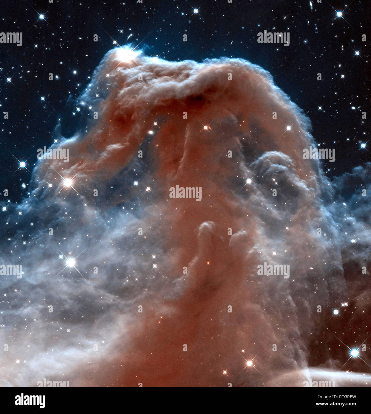 Wisps retroilluminato lungo la Horsehead Nebula di cresta superiore vengono illuminati da Sigma Orionis, una giovane cinque stelle di sistema appena al di fuori del lato superiore di questa immagine Foto Stock