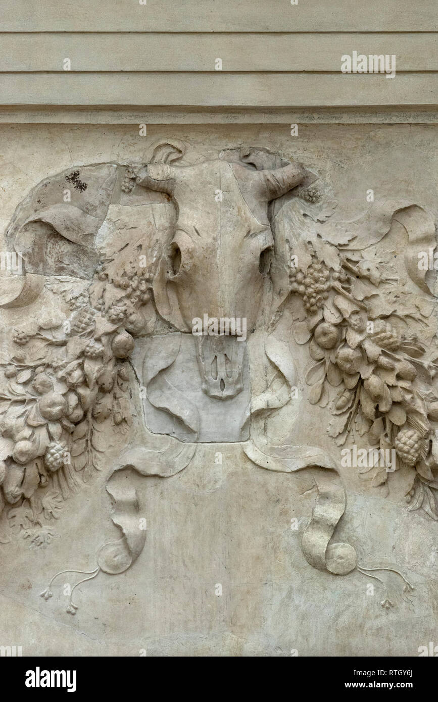 Roma. L'Italia. L'Ara Pacis Augustae, 13-9 BCE, Museo dell'Ara Pacis. Dettaglio della decorazione interna sollievo che mostra la ghirlanda e bucrania (teschio di bue). Foto Stock