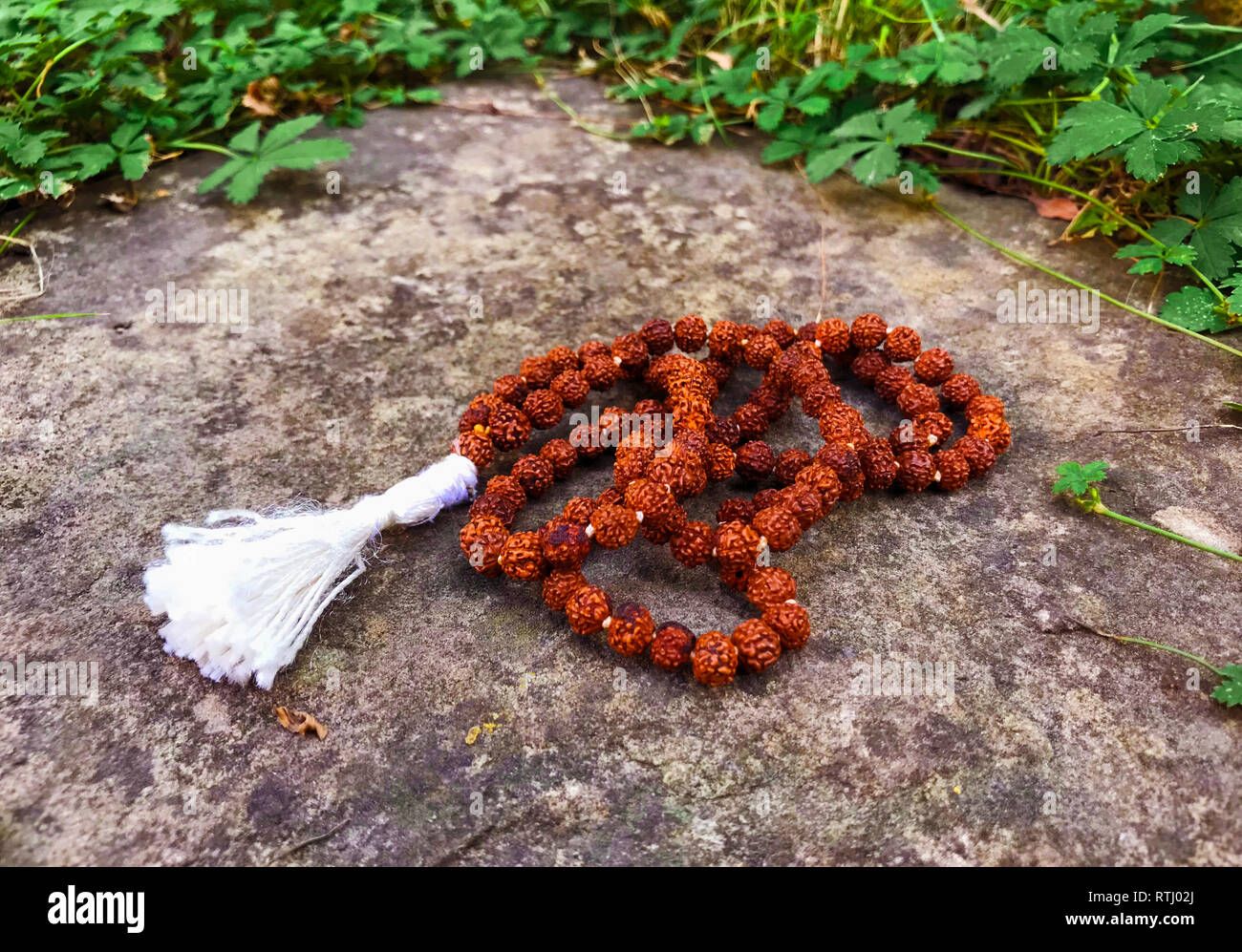 I grani del Rosario sullo sfondo di legno. Rudraksha Mala per Mantra. 108 perline. Foto Stock