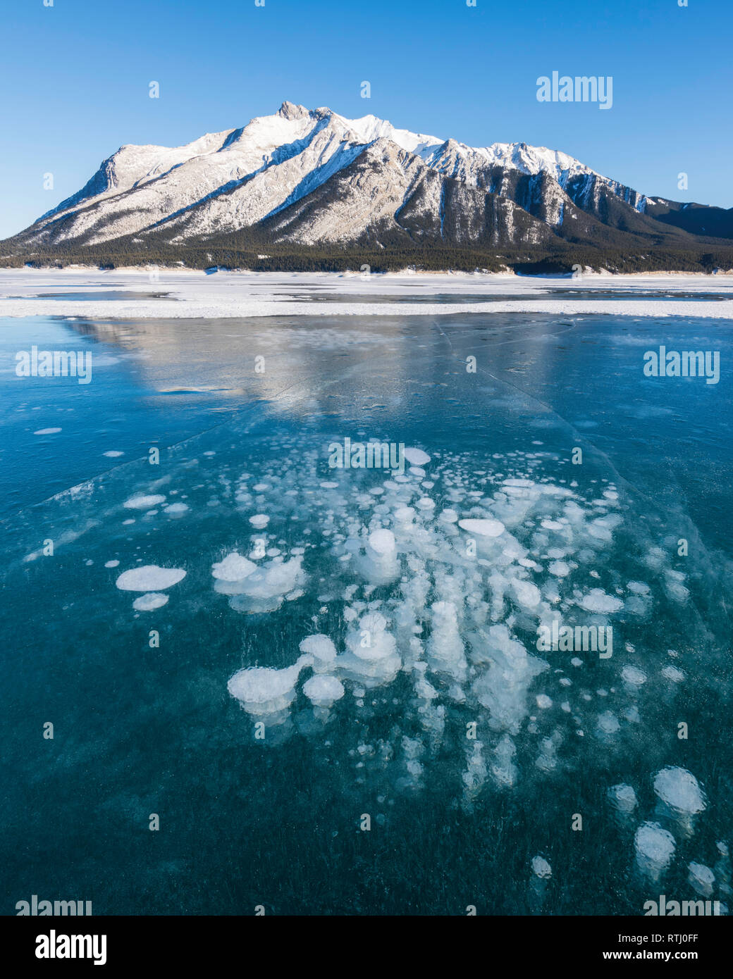 Crepe e metano bolle intrappolate nel ghiaccio che ricopre il lago di Abramo con il Monte Michener in background, Alberta, Canadian Rockies, Canada Foto Stock