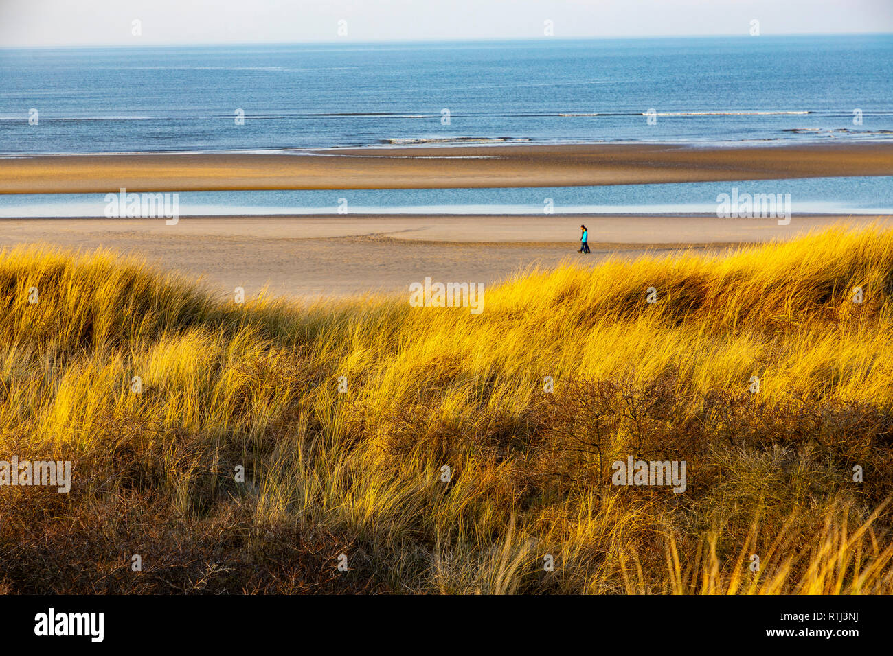 Isola del Mare del Nord Langeoog, Frisia orientale , Bassa Sassonia, paesaggio di dune, Germania Foto Stock