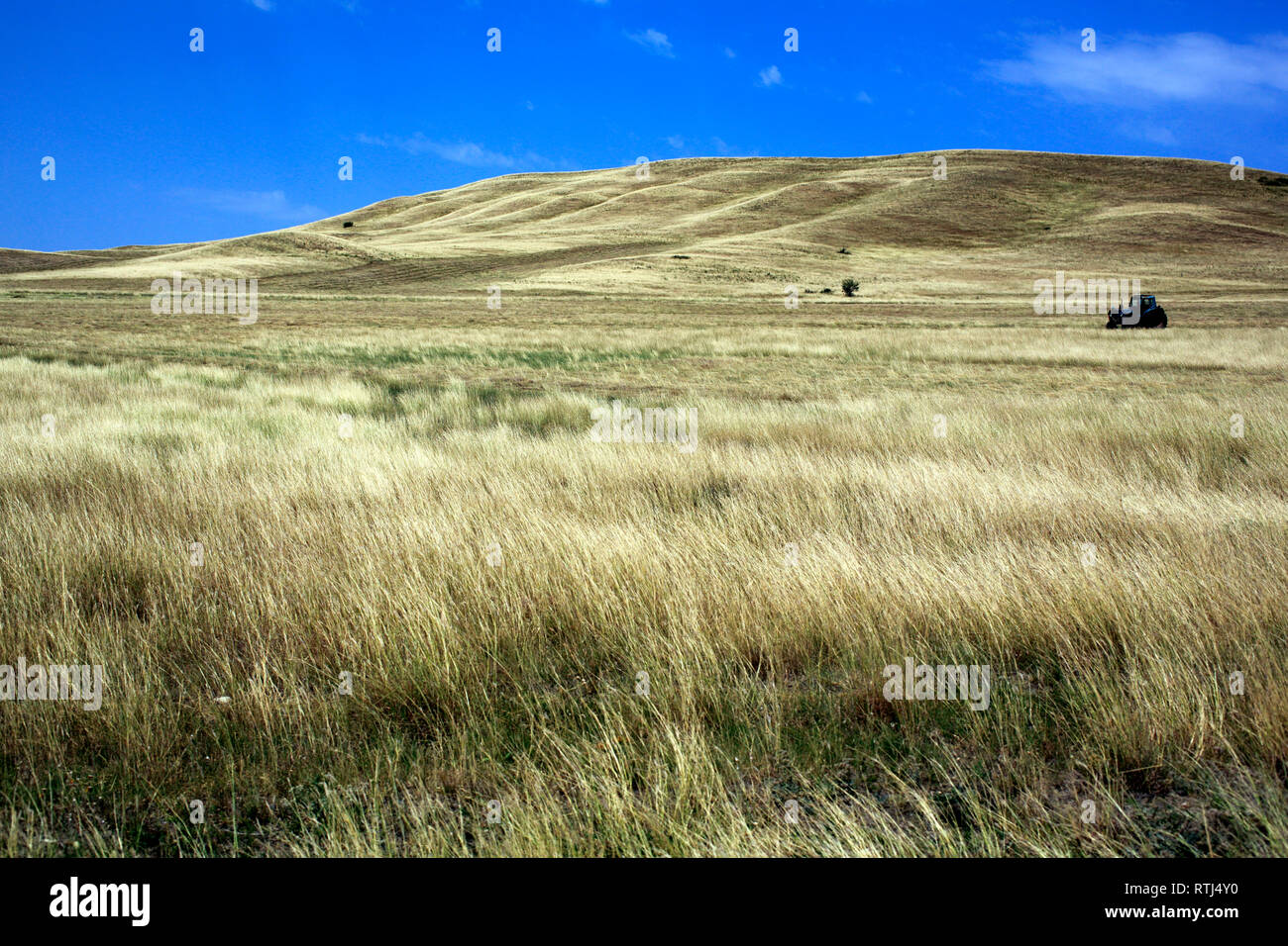 Il paesaggio nei pressi di David Gareja monastero, Kakheti, Georgia Foto Stock
