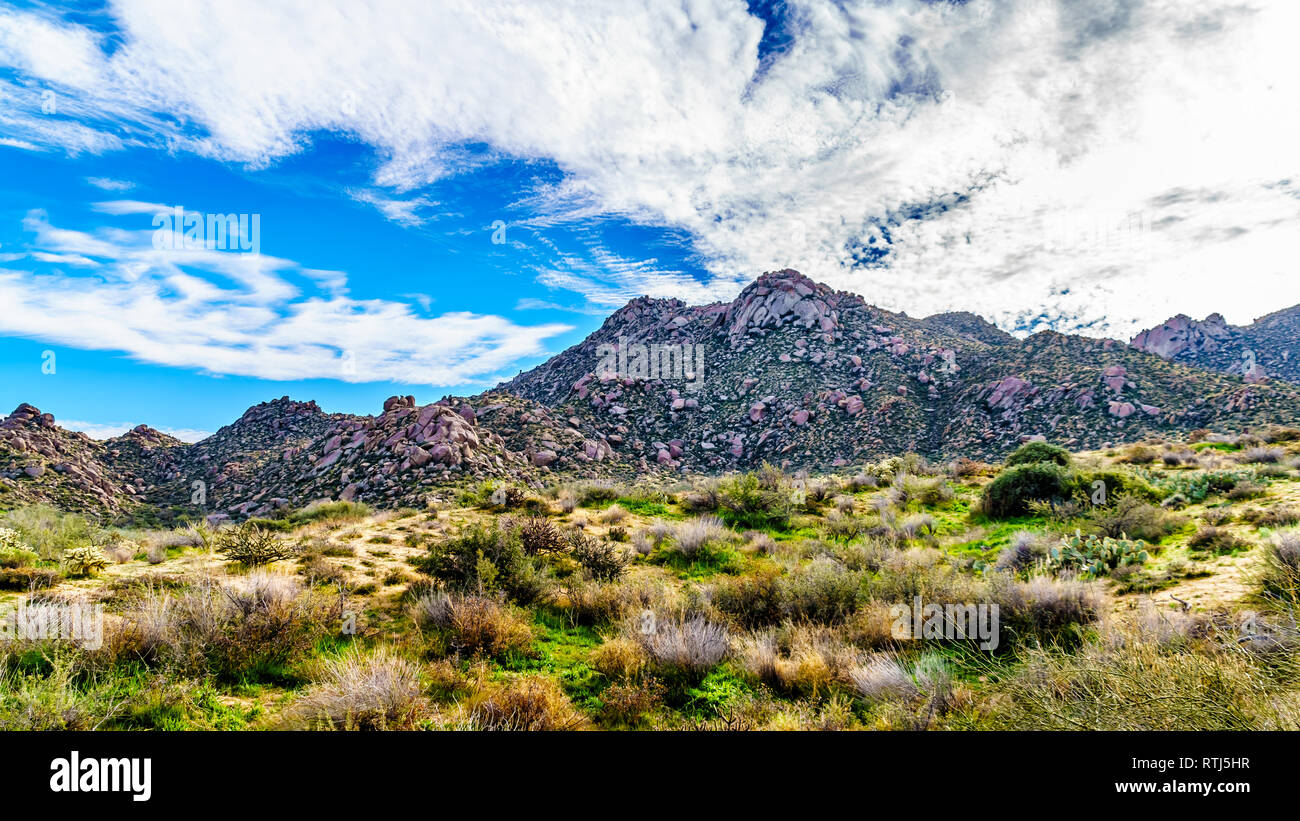 Vista delle aspre montagne rocciose in McDowell Mountain Range intorno a Phoenix, Arizona vista da Tom Thumb Trail Foto Stock