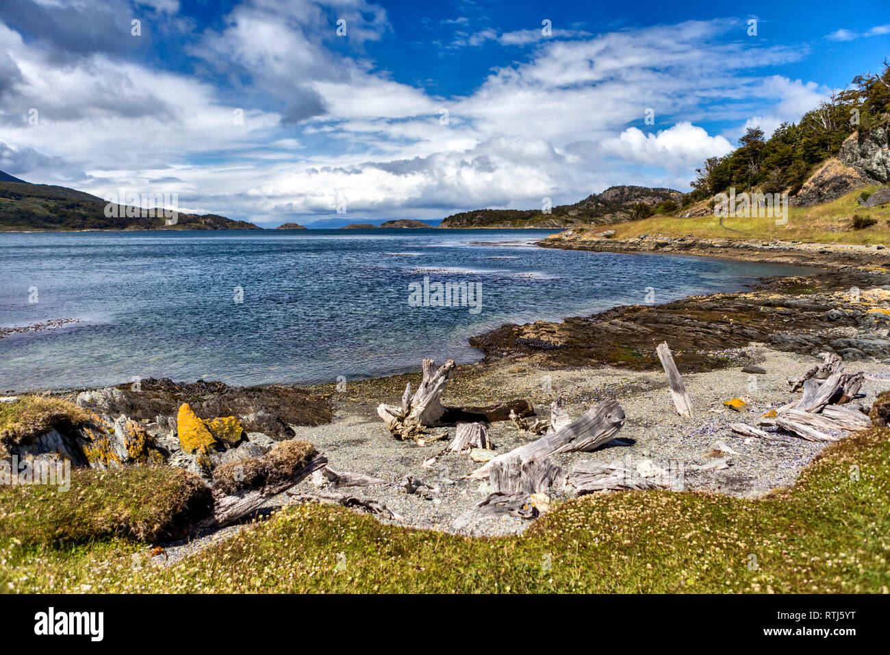 Tierra del Fuego National Park, Isla Grande del Tierra del Fuego, Tierra del Fuego, Antartida e Islas del Atlantico Sur, Argentina Foto Stock