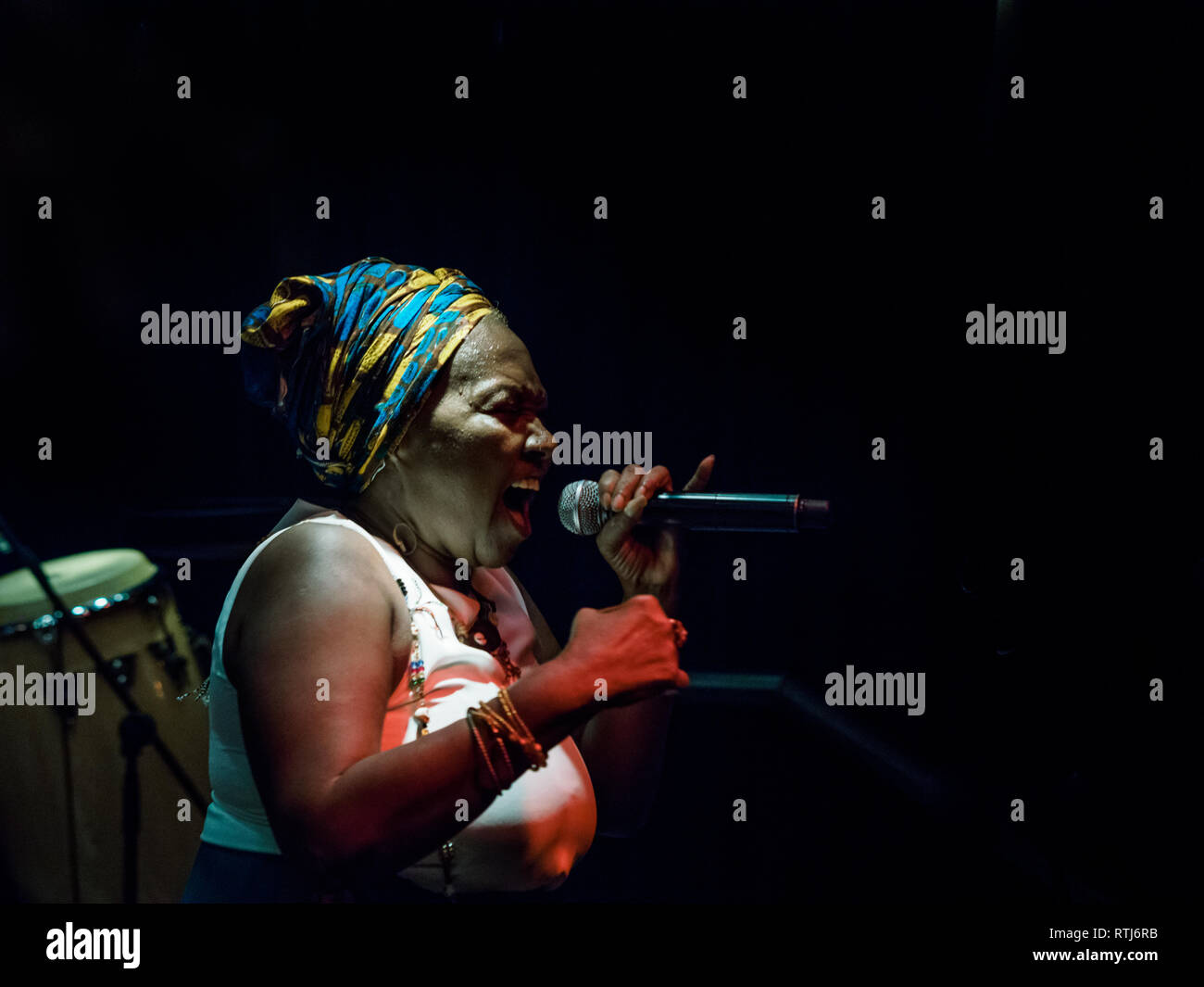 Subelo Cuba durante il loro concerto presso il Cafe Marula, Barcelona, Spagna. Foto: Mariano Anton. Foto Stock