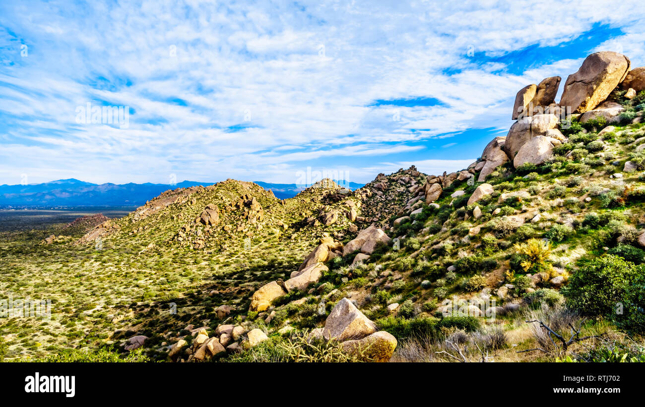 Vista delle aspre montagne rocciose in McDowell Mountain Range intorno a Phoenix, Arizona vista da Tom Thumb Trail Foto Stock