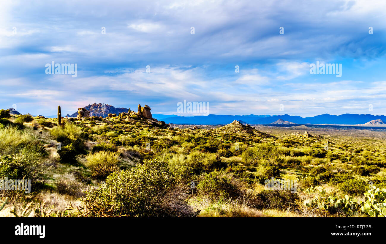 Vista della Valle del Sole e le aspre montagne rocciose in McDowell Mountain Range intorno a Phoenix, Arizona vista da Tom Thumb Trail Foto Stock