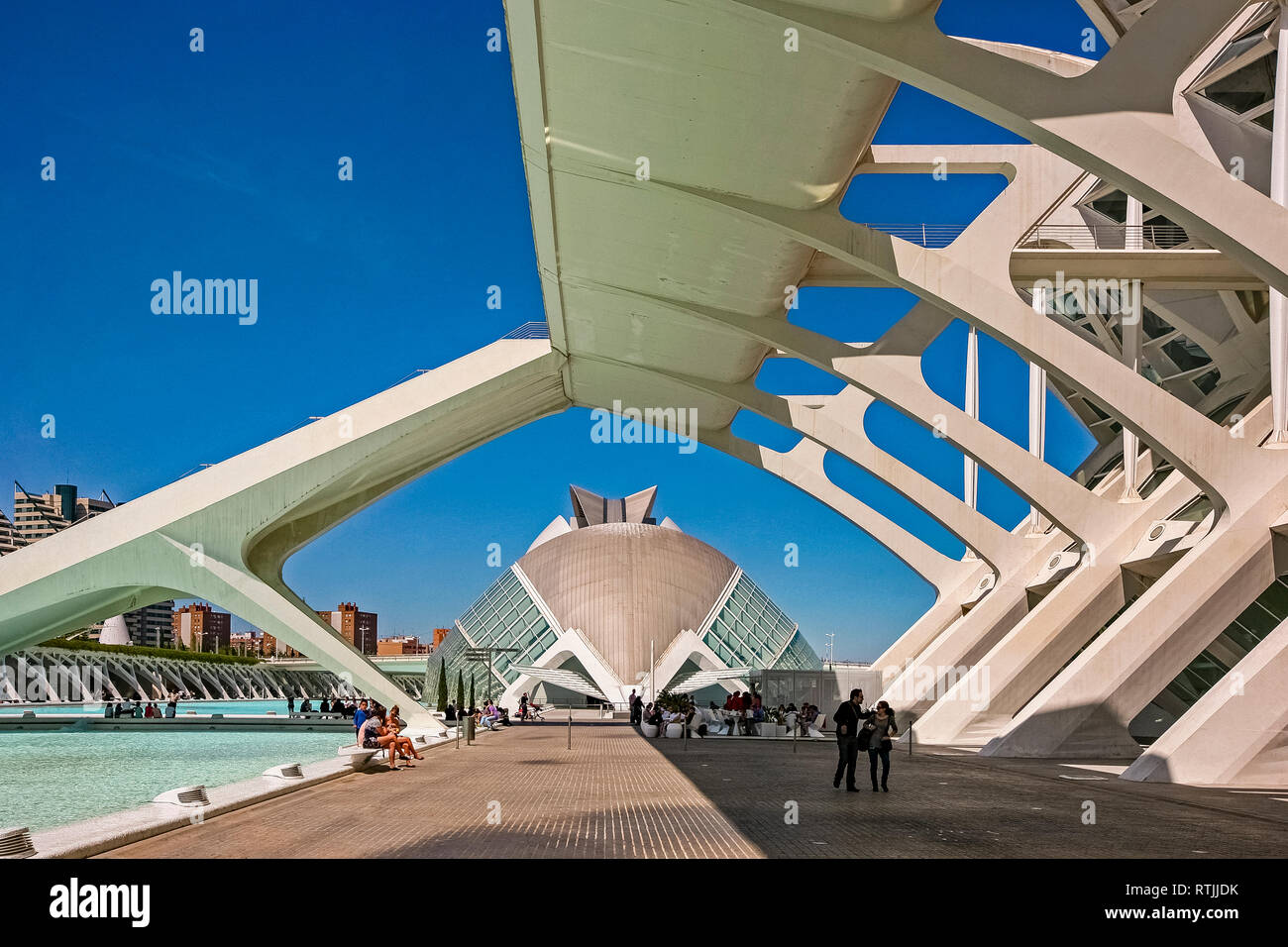 Spagna Valencia Città delle Arti e delle Scienze del Museo della Scienza Principe Felipe e la volta emisferica Foto Stock