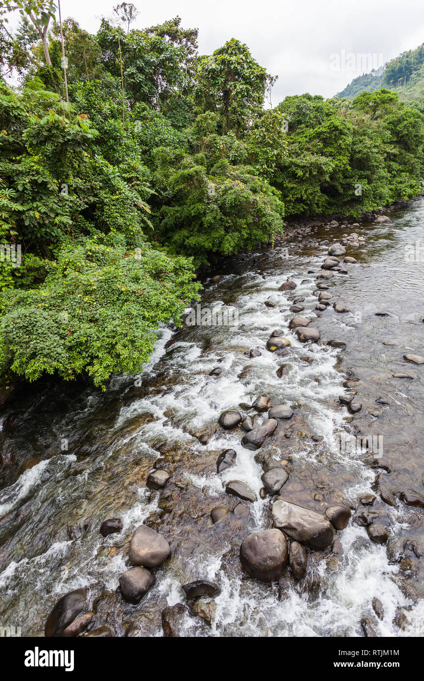 Fiume con acqua pulita e cristallina e molte rocce circondata dalla giungla verde nella foresta pluviale Foto Stock