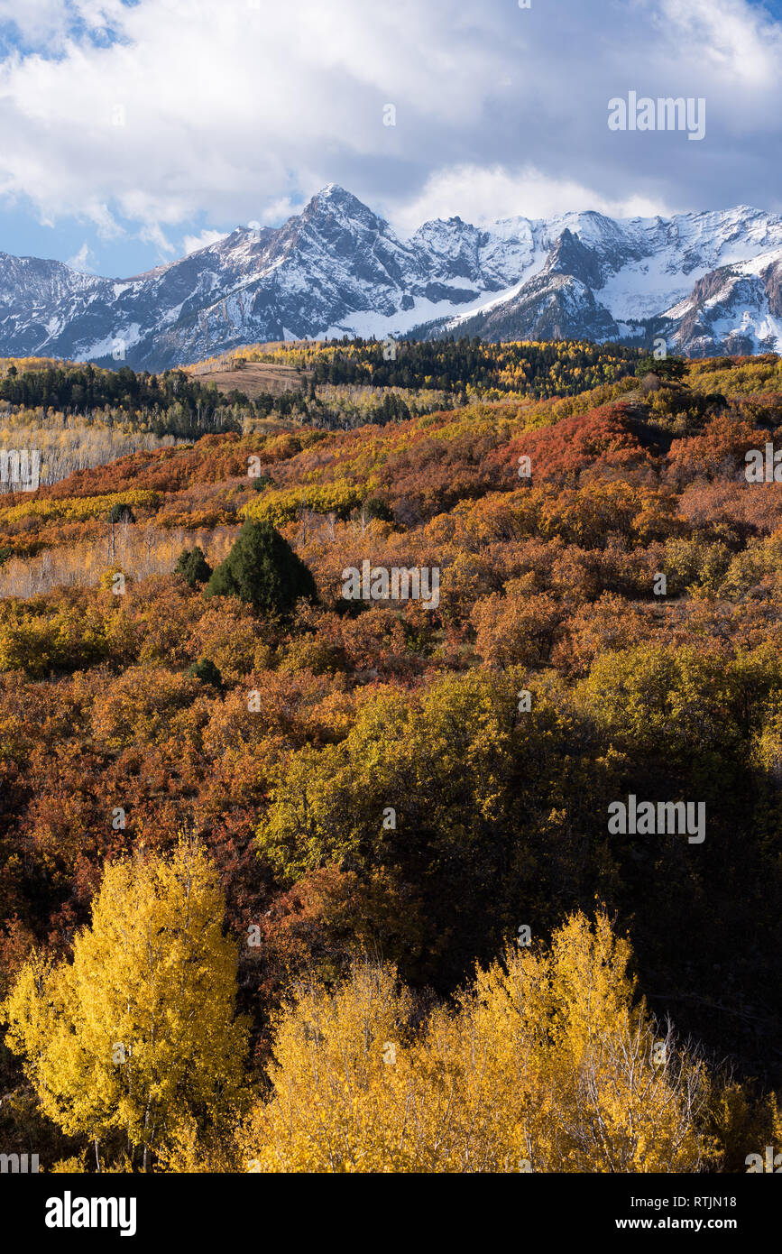 Guardando a sud dal Dallas dividere punto di vista presso il monte Sneffels Range entro il Uncompahgre National Forest, Colorado. Foto Stock