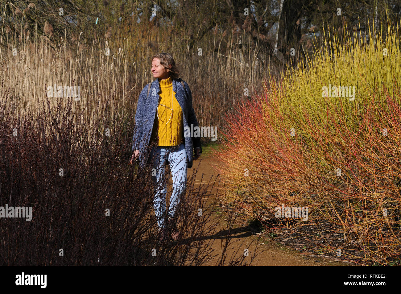 Londra, UK, 2 marzo 2019 Elena a piedi attraverso Isabella Plantation. Sole brillante in Richmond Park come tempesta Freya approcci. Credito: JOHNNY ARMSTEAD/Alamy Live News Foto Stock