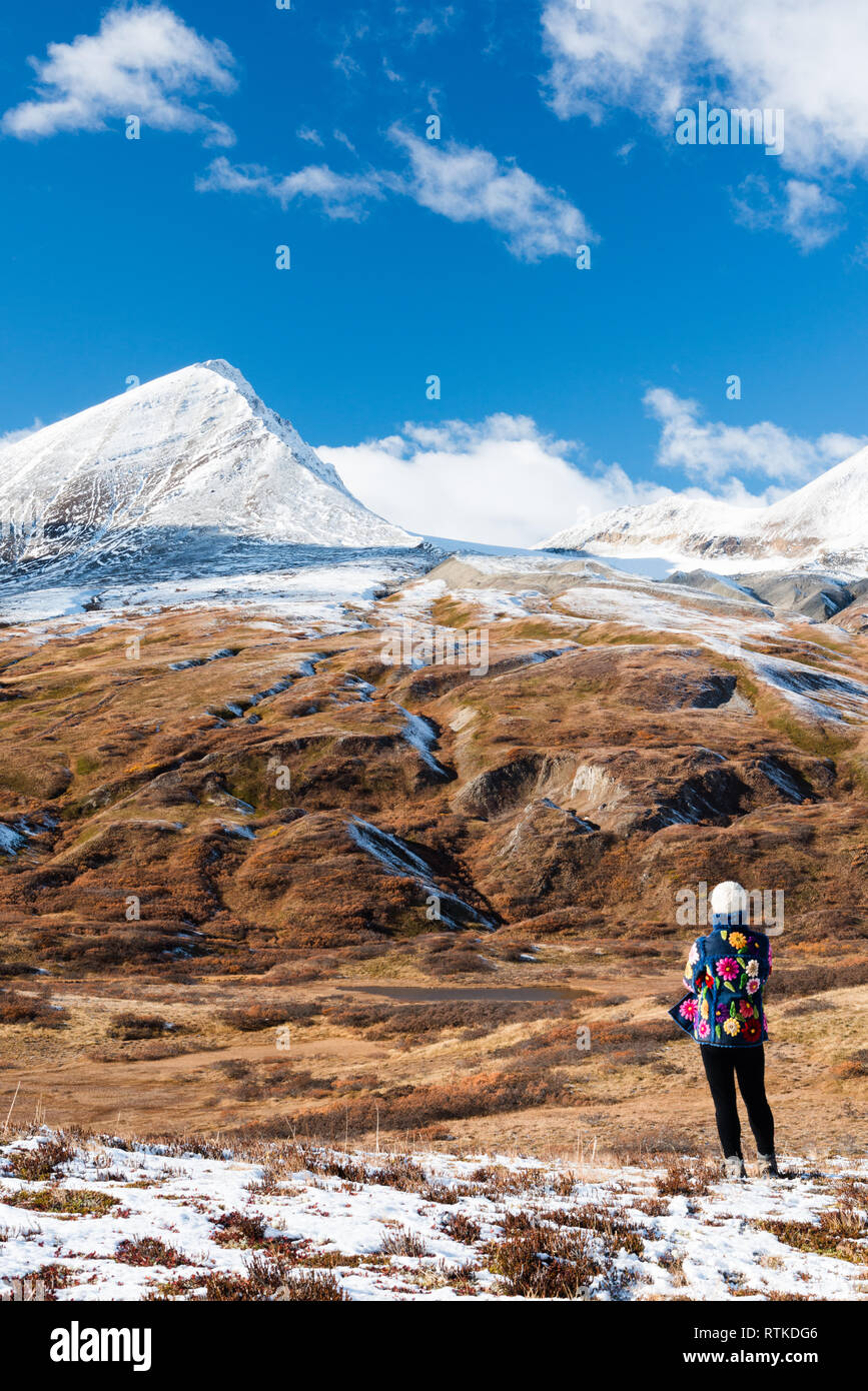 Self-portrait in colorato rivestimento fiorito. Ammirate la vista sul mandrino Creek, Haines Road, Tatshenshini-Alsek Park, Northern British Columbia, Canada Foto Stock