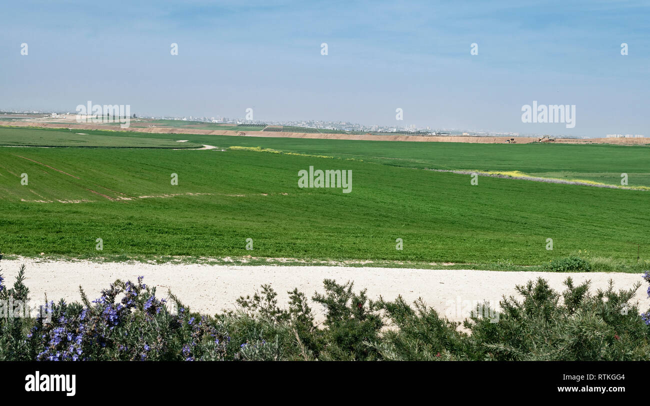 Lussureggianti campi agricultral nell ovest del Negev in Israele con la striscia di Gaza City e parzialmente in cielo molto nuvoloso in background Foto Stock